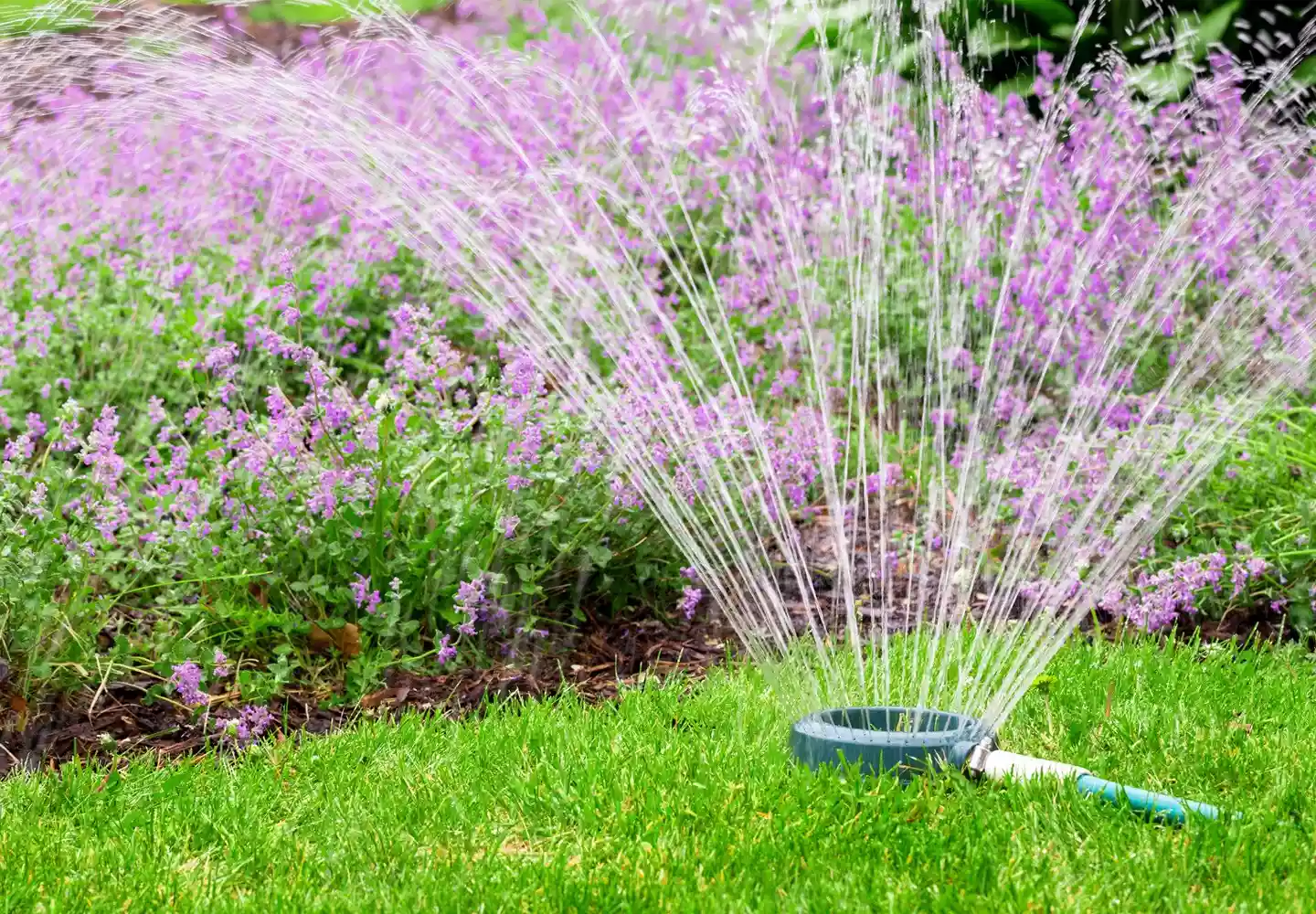 Garten- und Landschaftsbau Bewässerungsanlage für Rollrasen und insektenfreundlichs Blumenbeet in Rindenmulch