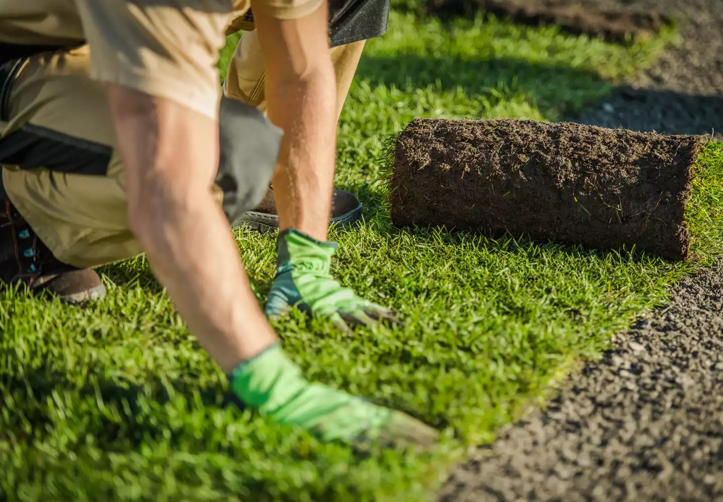 Gartenkönig Garten- und Landschaftsbauer verlegt Rollrasen auf geebnetem Untergrund
