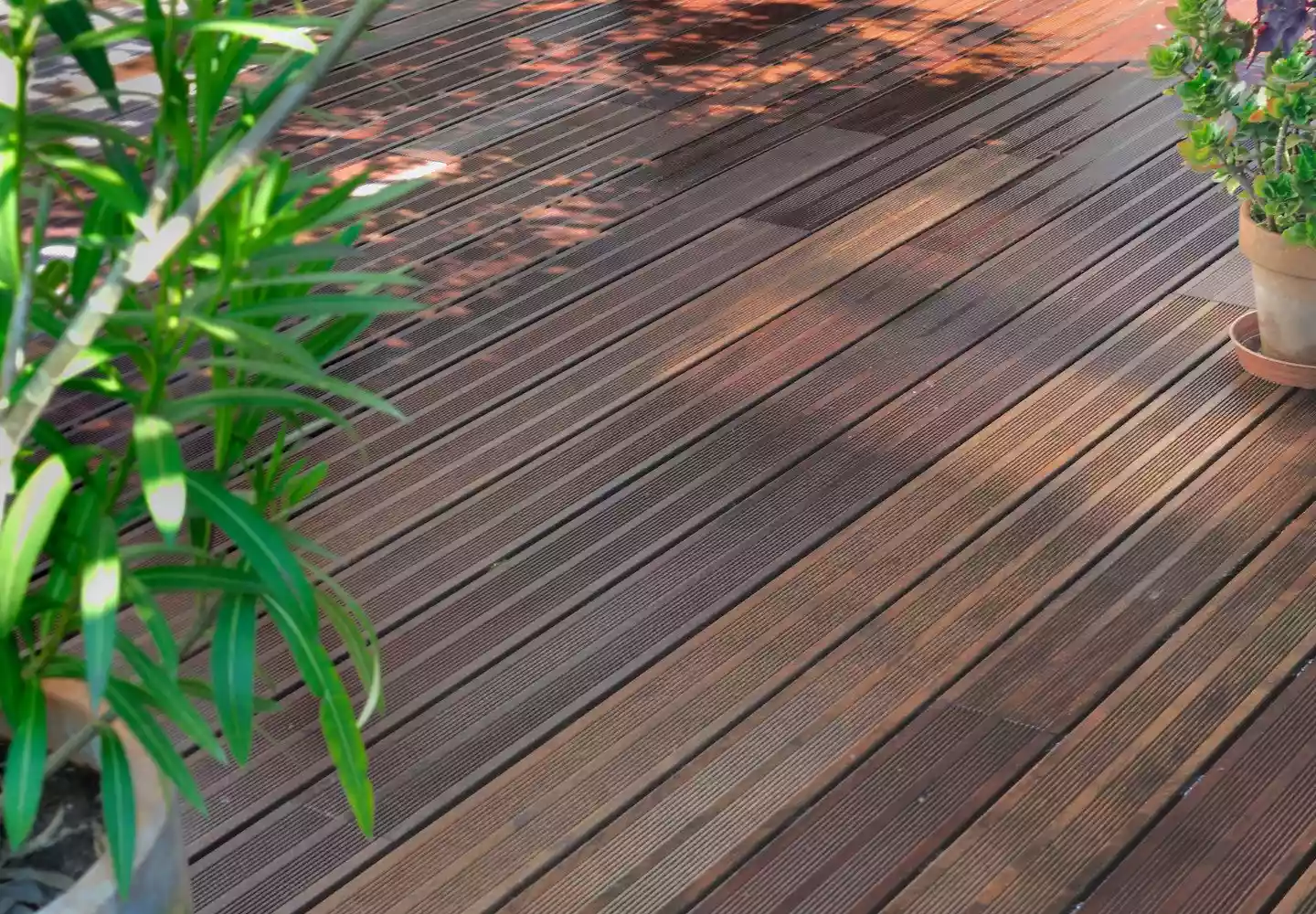 Geölte Bangkirai Terrasse und Dekopflanzen in Pflanztöpfen